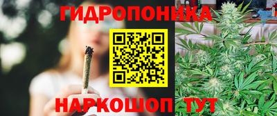 стаф Канаш