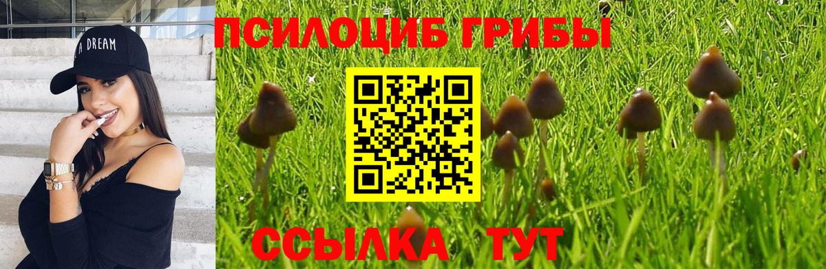 Галлюциногенные грибы MAGIC MUSHROOMS Балтийск